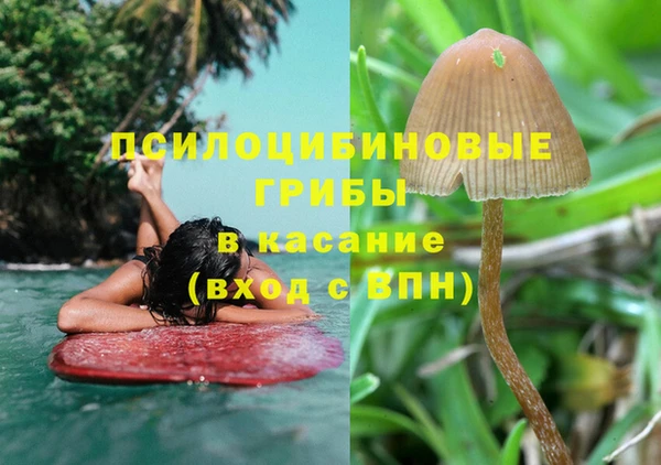 гашиш Каменка