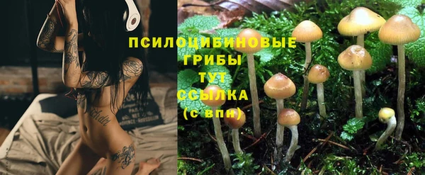 прущая мука Тобольск