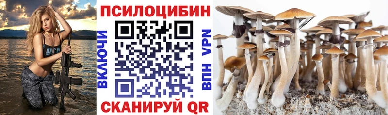 Галлюциногенные грибы прущие грибы  наркота  Рубцовск 