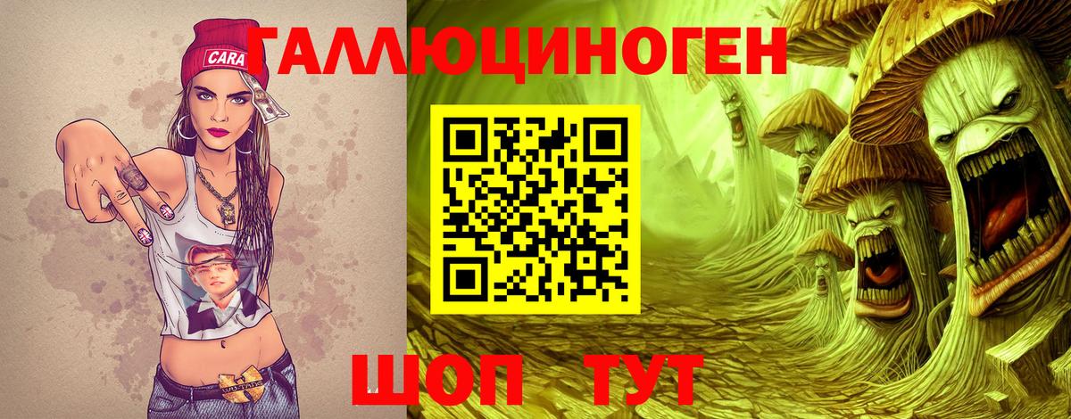 Псилоцибиновые грибы GOLDEN TEACHER Рубцовск