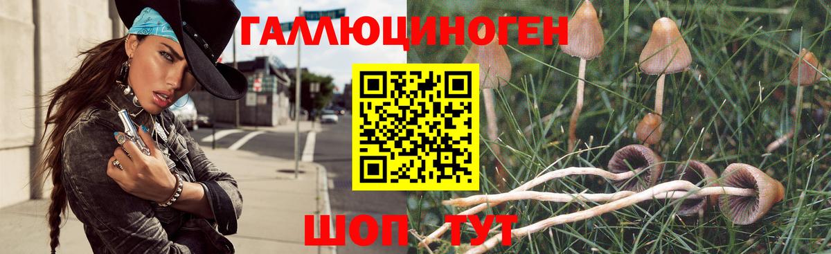 ГАШИШ  MDMA  Вейп ТГК  Меф МЯУ МЯУ   Alpha-PVP СК кристаллы  ГАШИШ  КОКАИН  Рубцовск  Сколько стоит  Бошки Шишки 