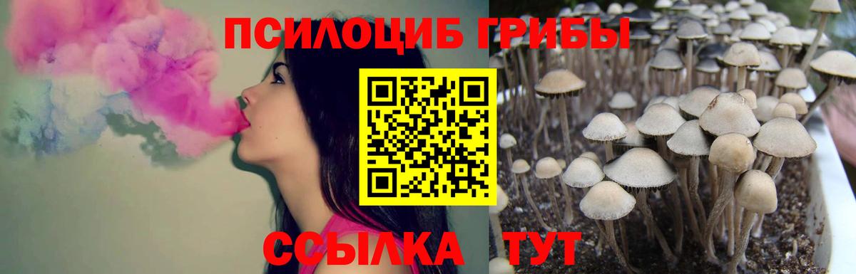 Галлюциногенные грибы Magic Shrooms  Вход с VPN  Рубцовск 